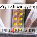 Ziyinzhuangyang new11